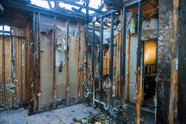 Professional Fire Damage Assessment technician working in Severna Park, MD